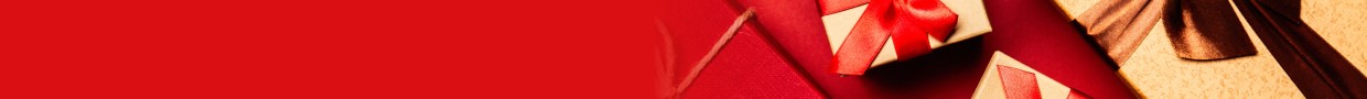 christmas banner bg