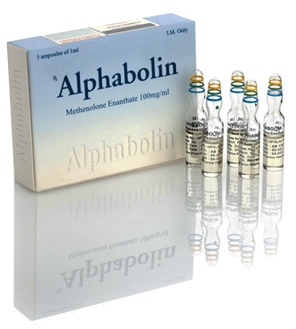 ALPHABOLIN AMP.jpg