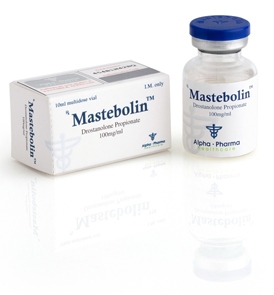 MASTEBOLIN.jpg