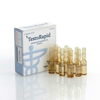 TESTORAPID AMP.jpg